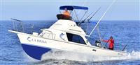 31ft Bertram "LA BRISA"